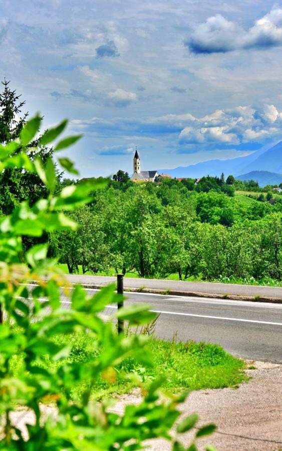 House Bela Vido Hotel Dreznik Grad Luaran gambar